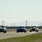 Mustangs and Cobra at track time #256-Howard Koby photo