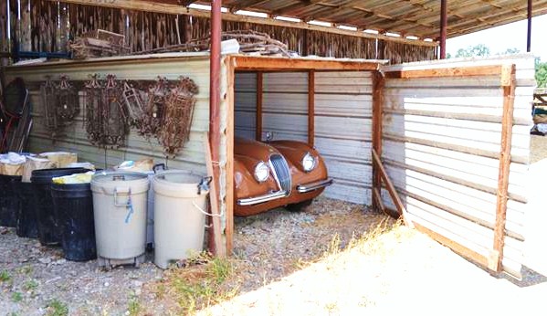 The Jaguar XK120 takes a rare peak outside its little tin shed