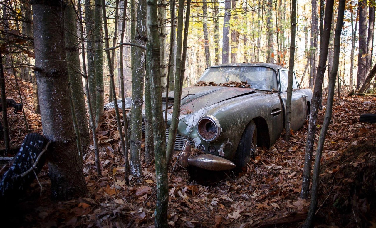 Aston Martin DB4 was found in New Hampshire woods