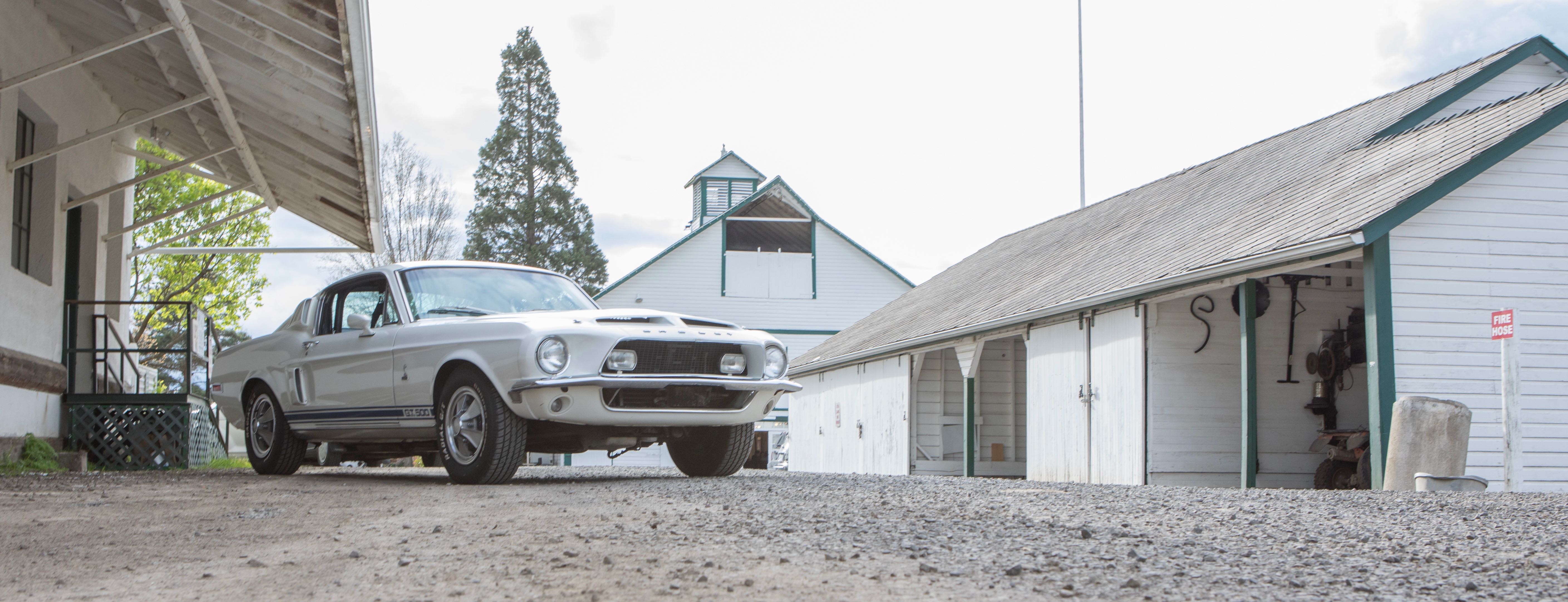 Mustang savvy police officer spotted GT500 stolen 41 years earlier | MAG photos