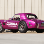1963 Shelby 289 Cobra Dragon Snake body