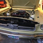 11446614-1965-ford-mustang-std