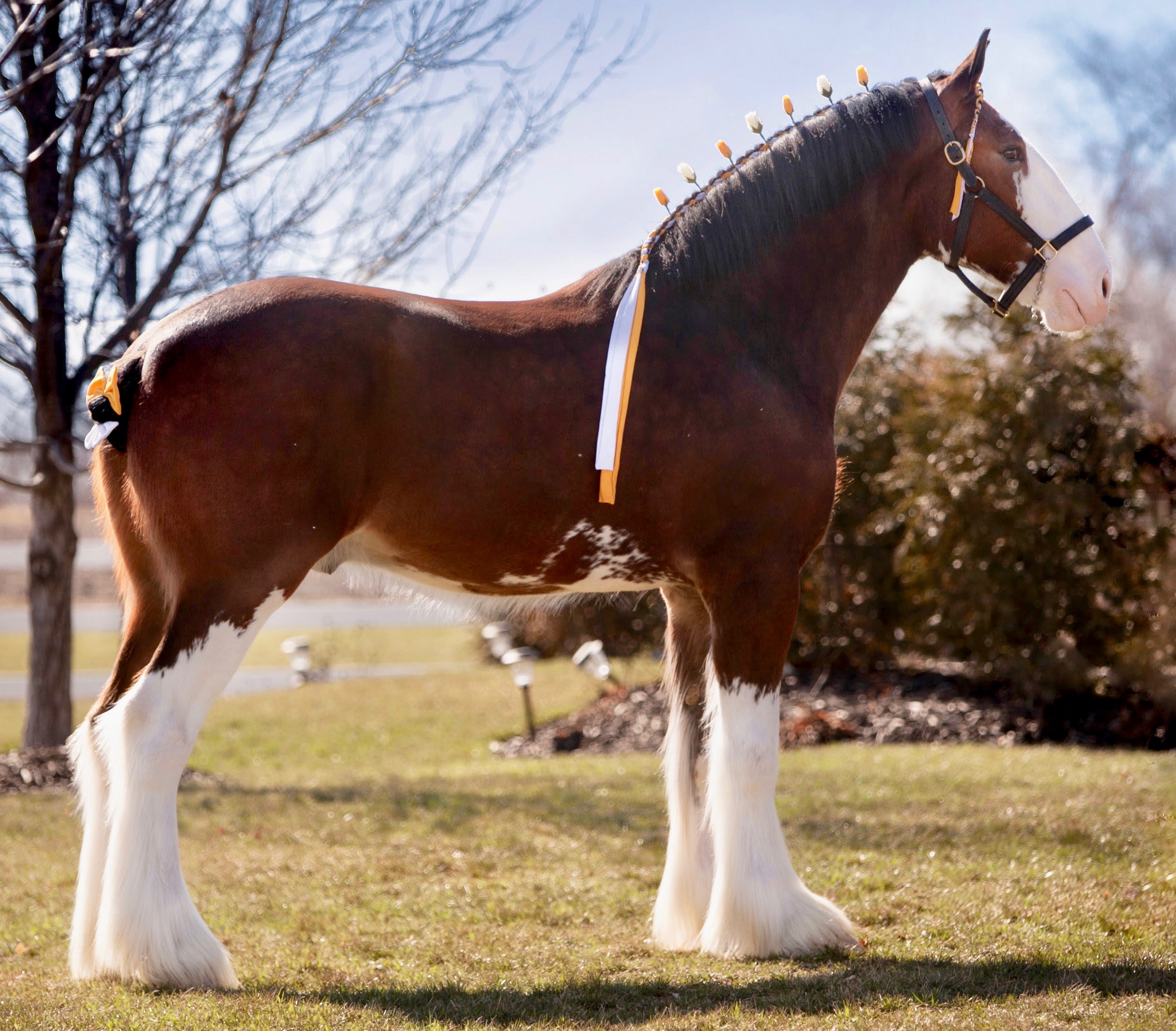 Clydesdale, Mechanical and Clydesdale horsepower offered at Gone Farmin’ auction, ClassicCars.com Journal