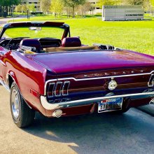 Clic Ford Mustang For On Cliccars Tail Lamp Bezels Available For 1964 70 Mustangs