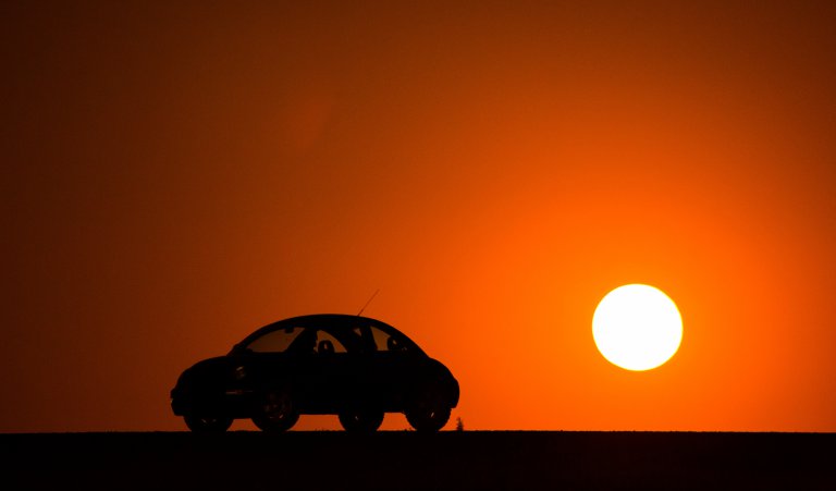 Bugs across the Sahara rally planned for 2020